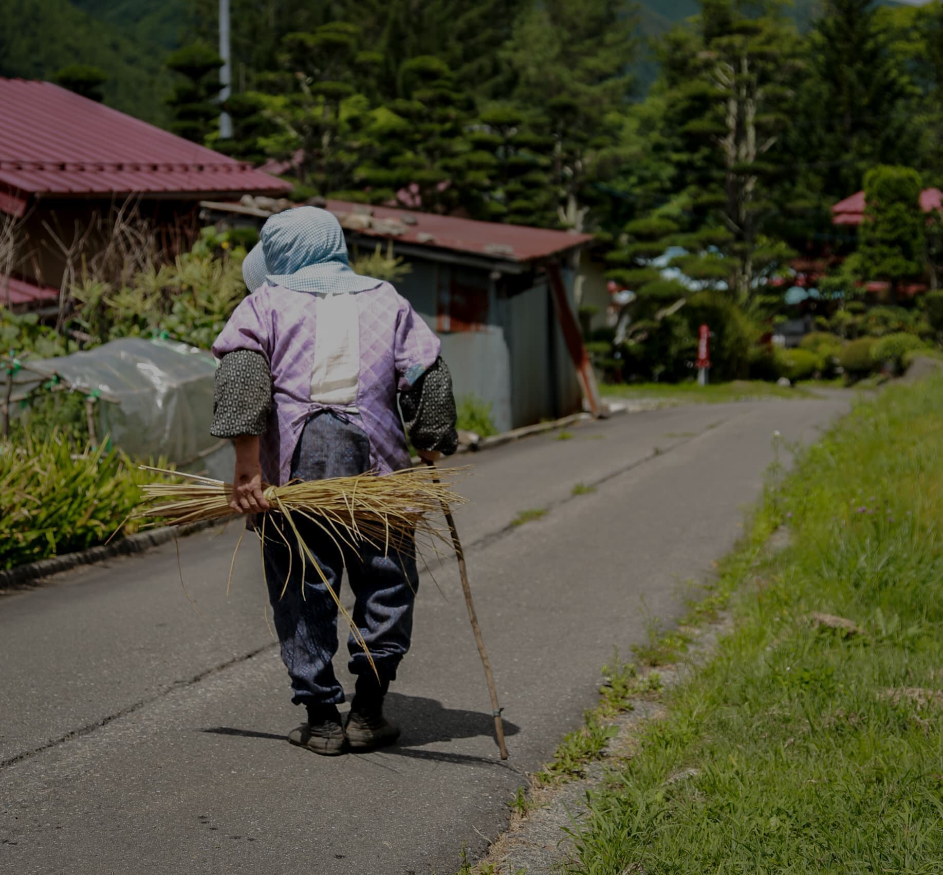 奈川の人